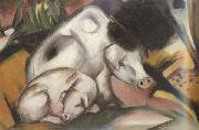 Pigs (mk34) Franz Marc